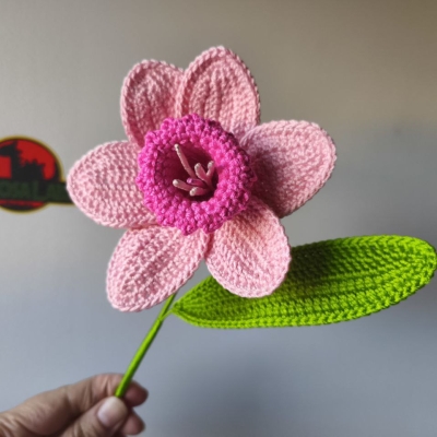 Narciso En Rosa Dinosa Labs