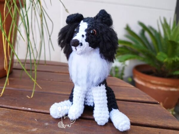 Border Collie - Imagen 2