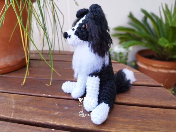 Border Collie - Imagen 3