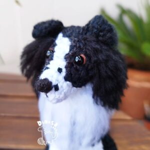 Border Collie