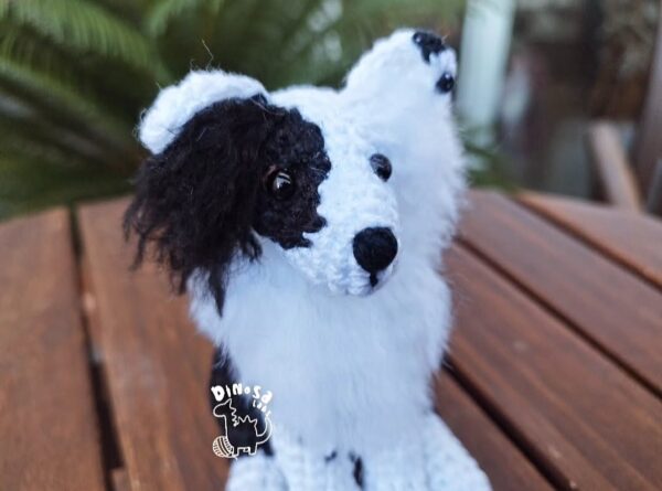 Border Collie - Imagen 4