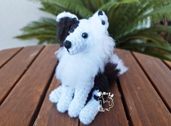 Border Collie - Imagen 5