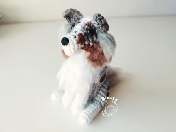 Border Collie - Imagen 6