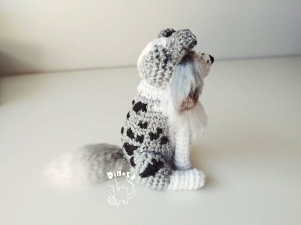 Border Collie - Imagen 7