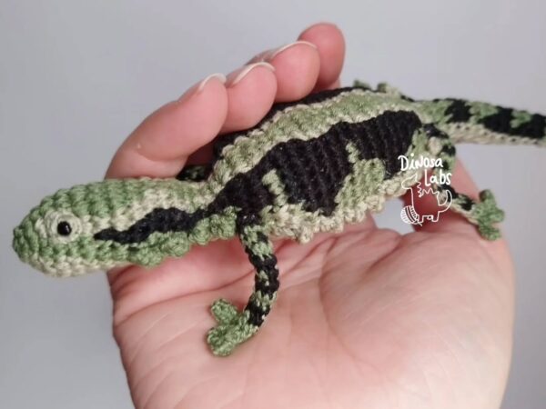 Dragón Barbudo verde - Imagen 3