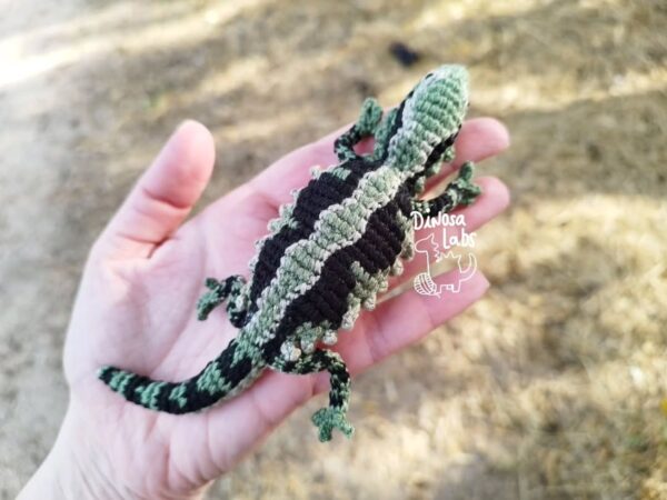 Dragón Barbudo verde - Imagen 4