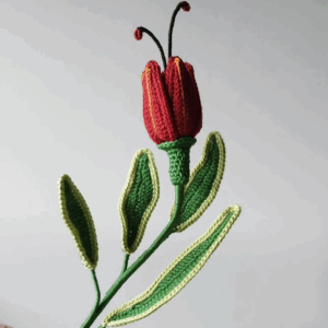Capota del diablo (Mors Amicus)