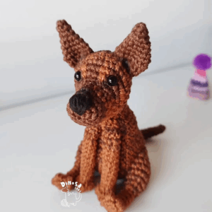 Miles, perro personalizado