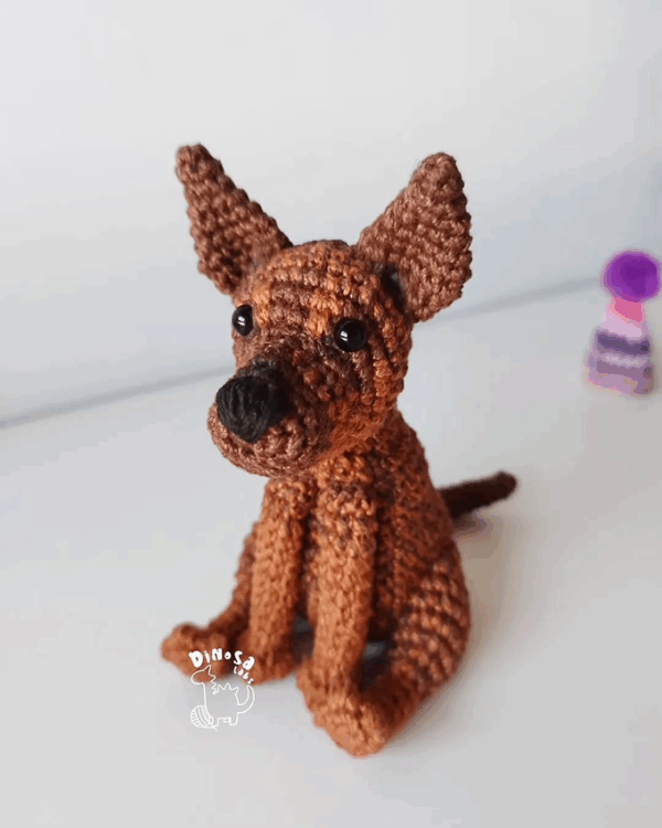 Miles, perro personalizado