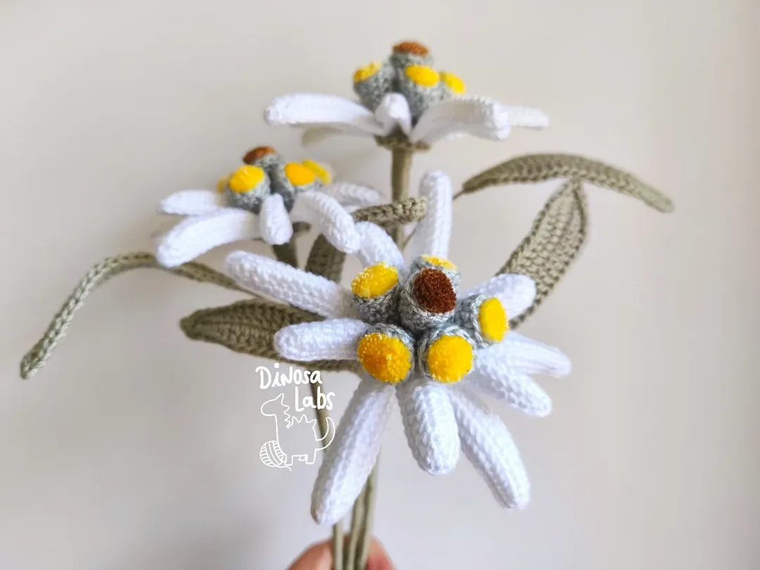 Edelweiss: la flor de las nieves. - Imagen 2