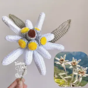 edelweiss dinosa labs