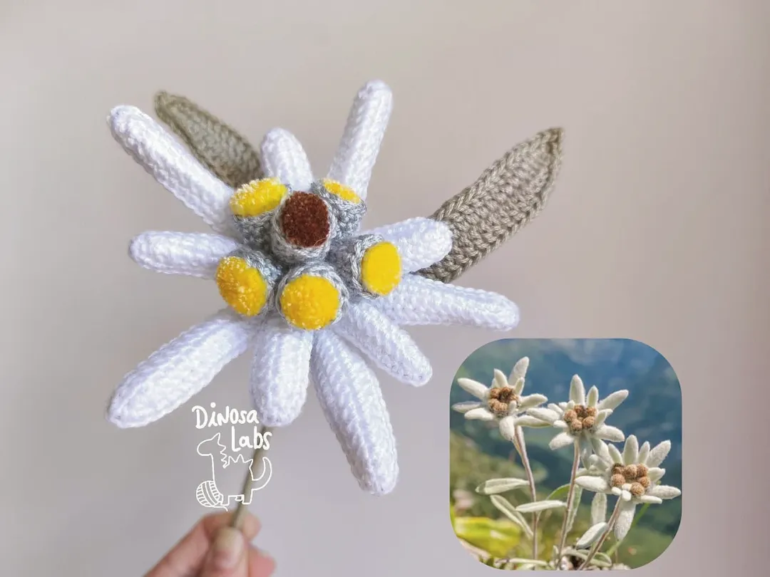 edelweiss dinosa labs