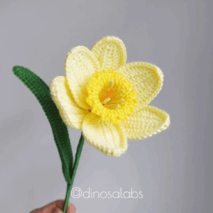 Narciso