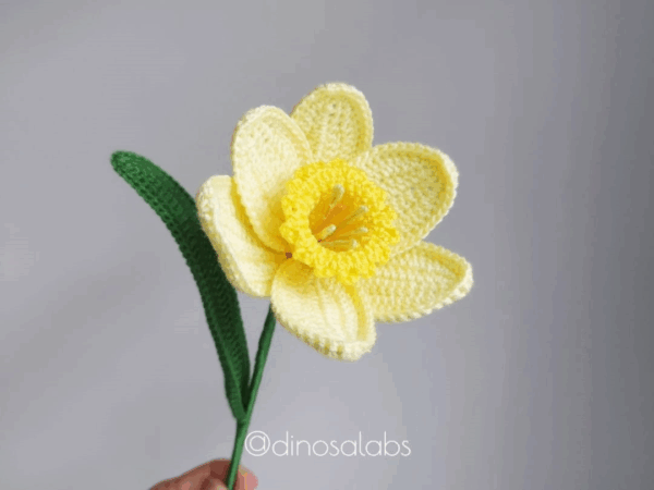Narciso
