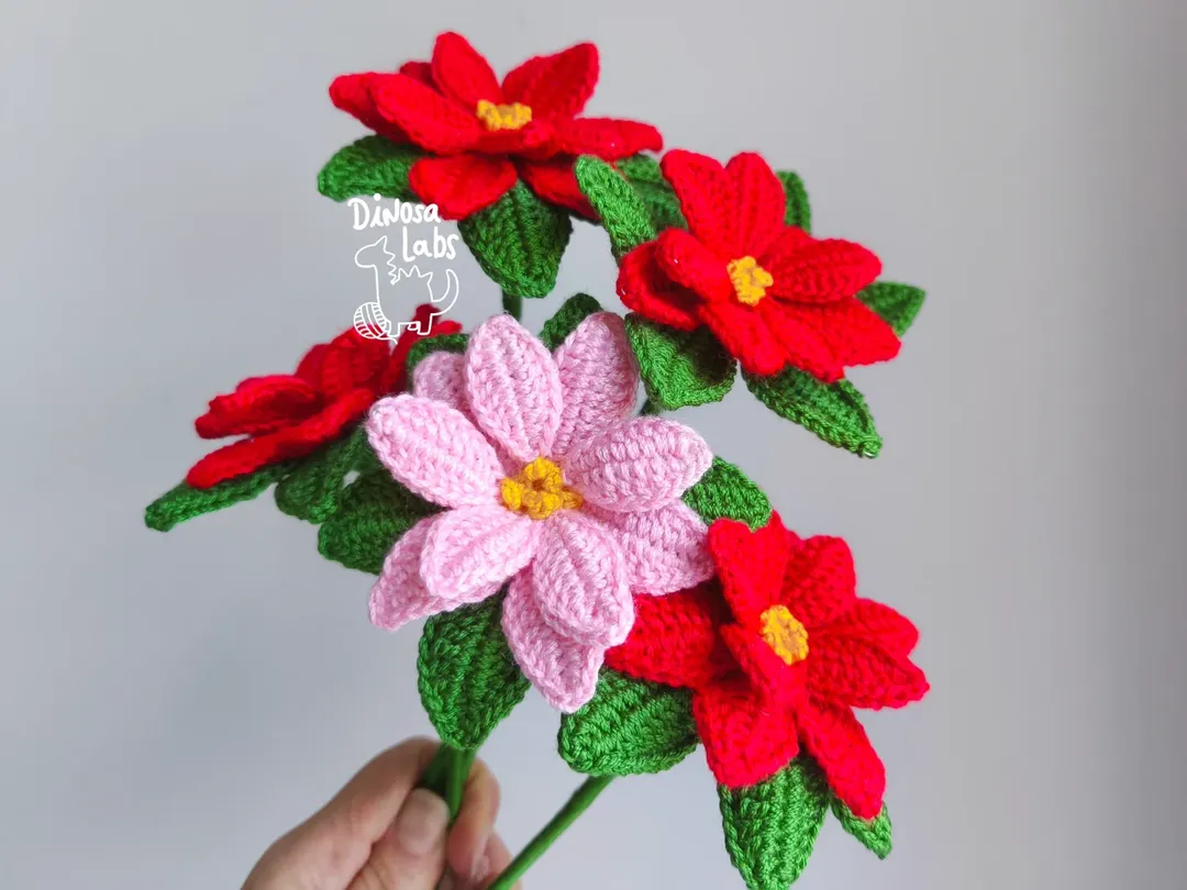 Flor de Pascua - Imagen 9