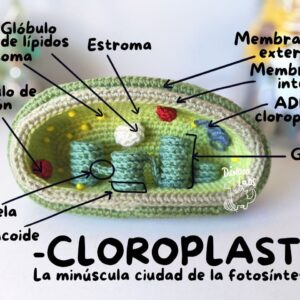 Cloroplasto