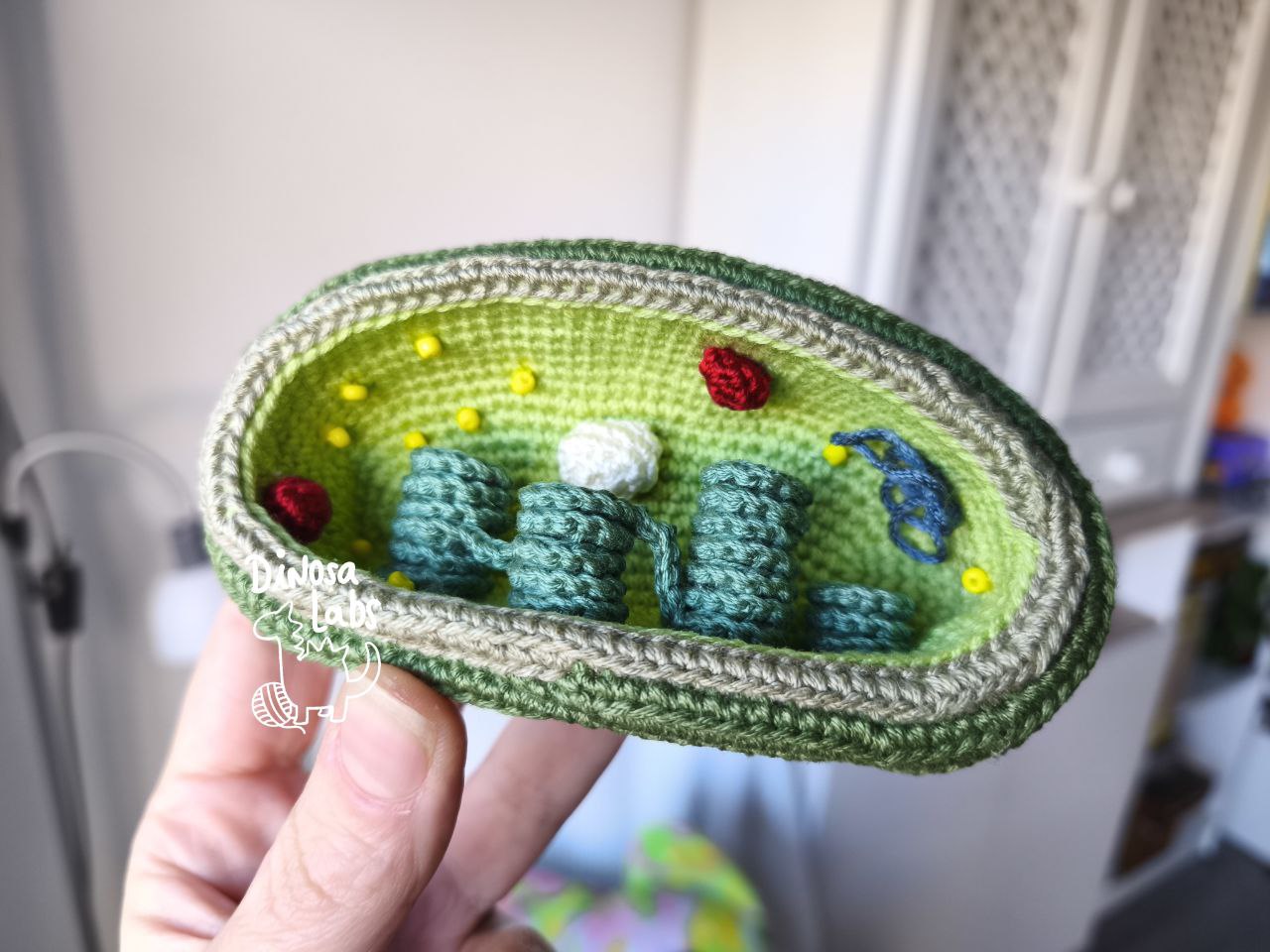 Cloroplasto - Imagen 4