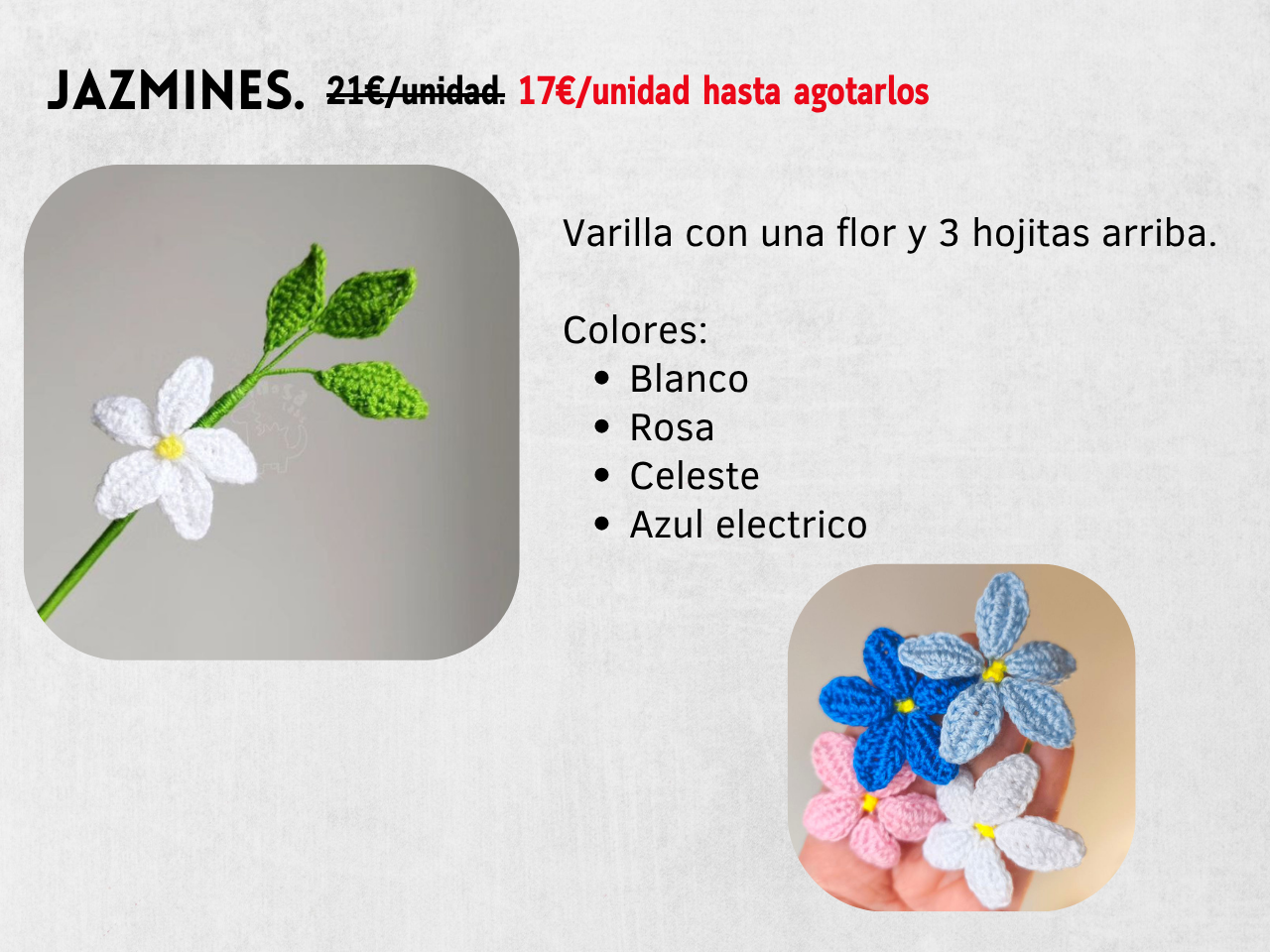 Guía Flores y Ramos 2026 - Imagen 12