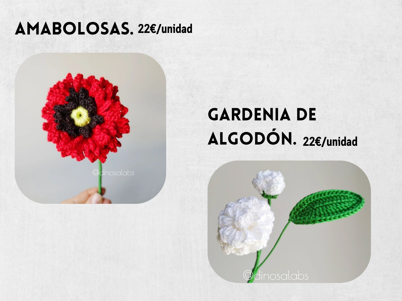 Guía Flores y Ramos 2026 - Imagen 15