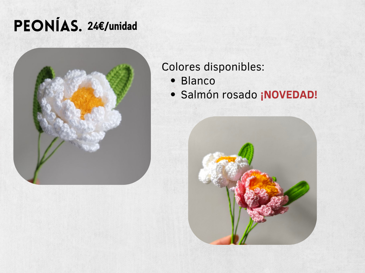 Guía Flores y Ramos 2026 - Imagen 16