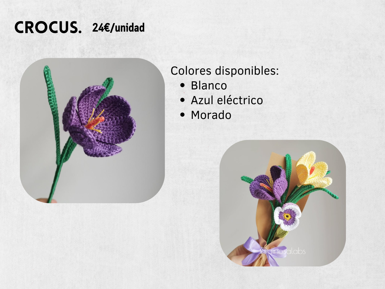 Guía Flores y Ramos 2026 - Imagen 17