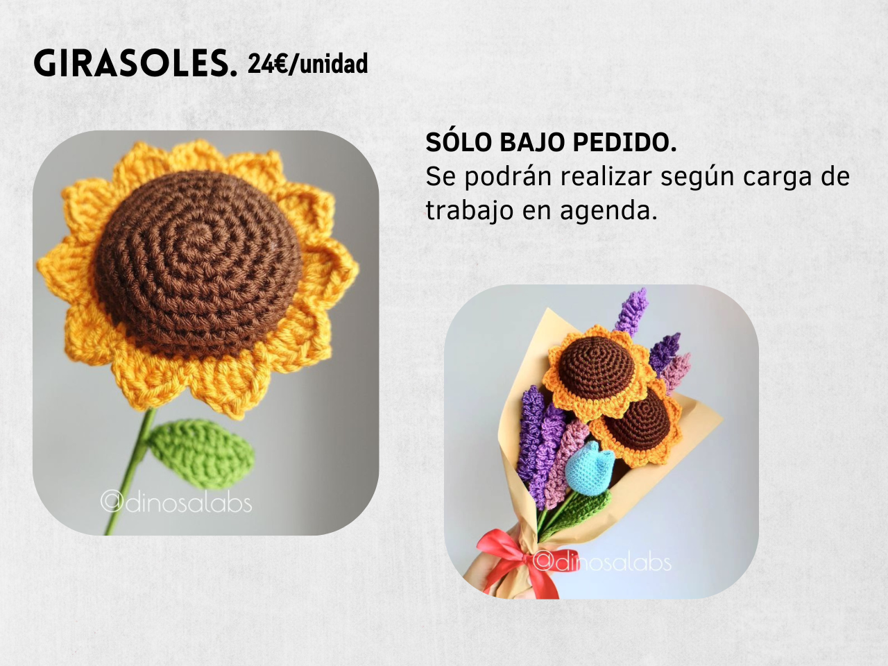 Guía Flores y Ramos 2026 - Imagen 18