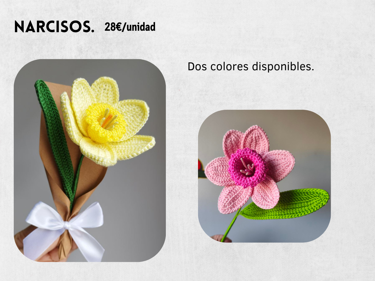 Guía Flores y Ramos 2026 - Imagen 19