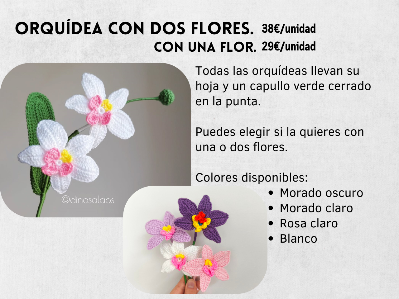 Guía Flores y Ramos 2026 - Imagen 20