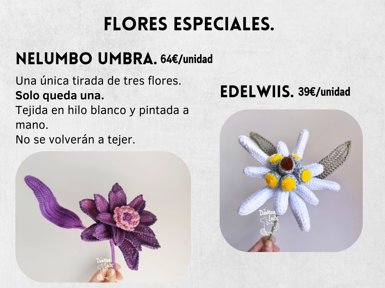 Guía Flores y Ramos 2026 - Imagen 21