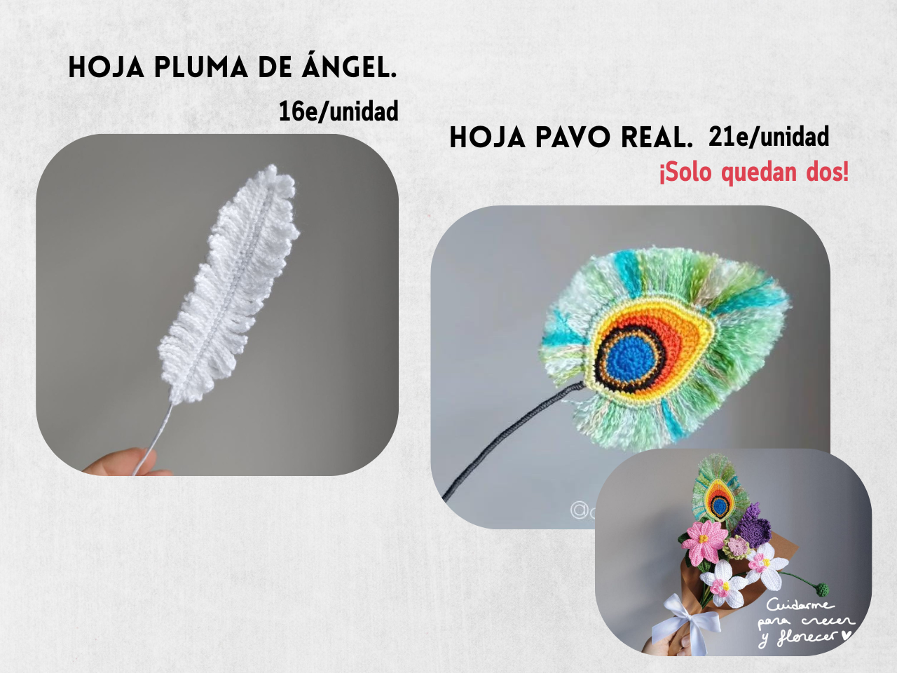 Guía Flores y Ramos 2026 - Imagen 24