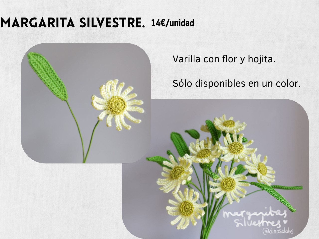 Guía Flores y Ramos 2026 - Imagen 8