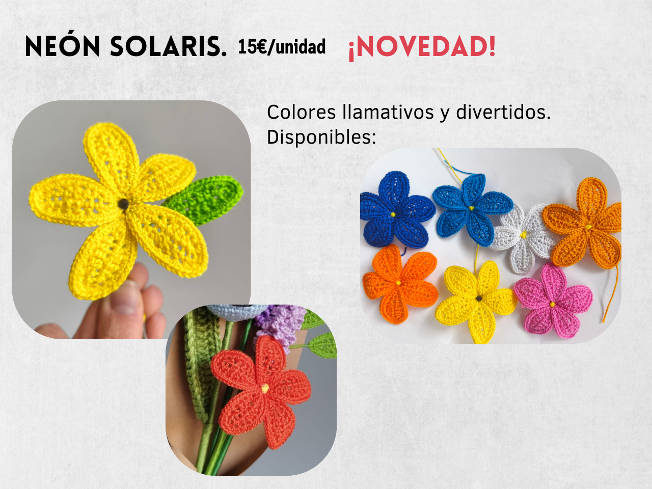 Guía Flores y Ramos 2026 - Imagen 9