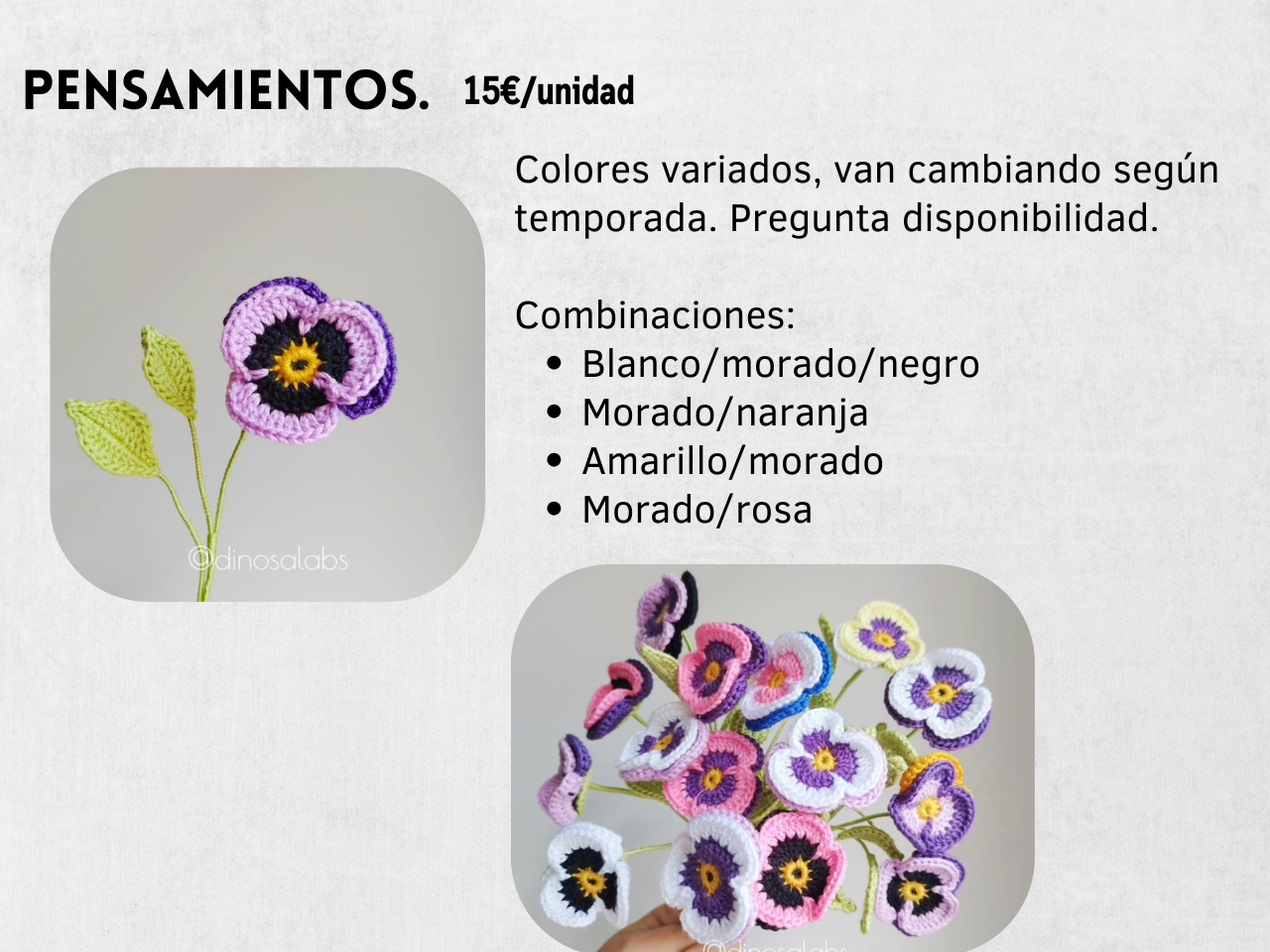 Guía Flores y Ramos 2026 - Imagen 10