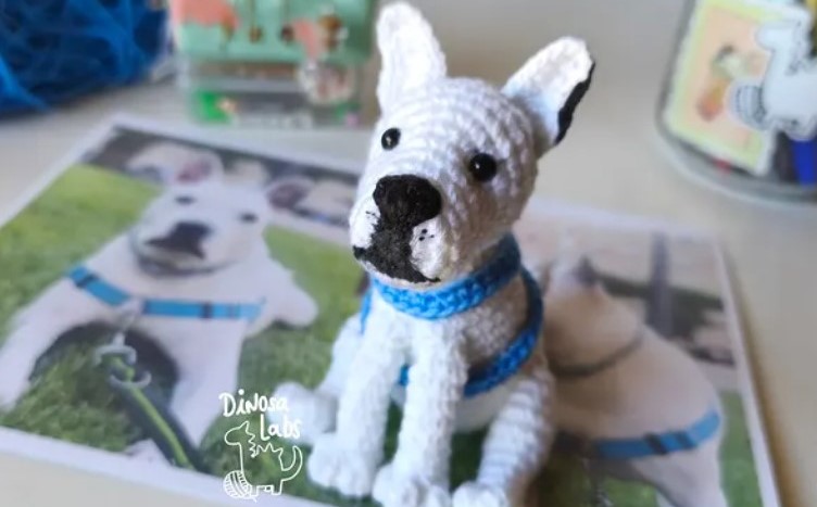 Amigurumi personalizado de perro realizado a crochet junto a la fotografía de la mascota original.