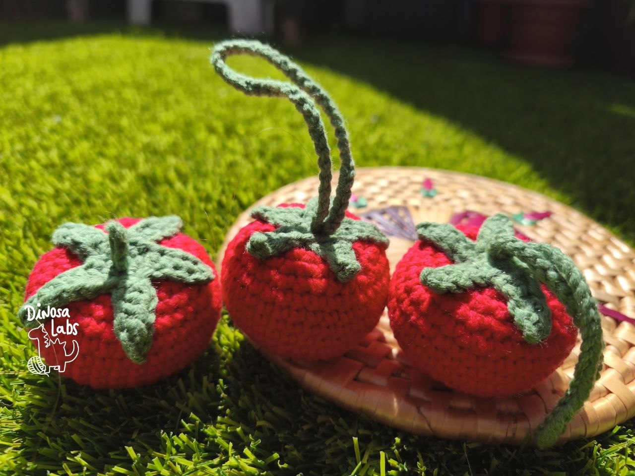 Tomate colorao - charm - Imagen 4