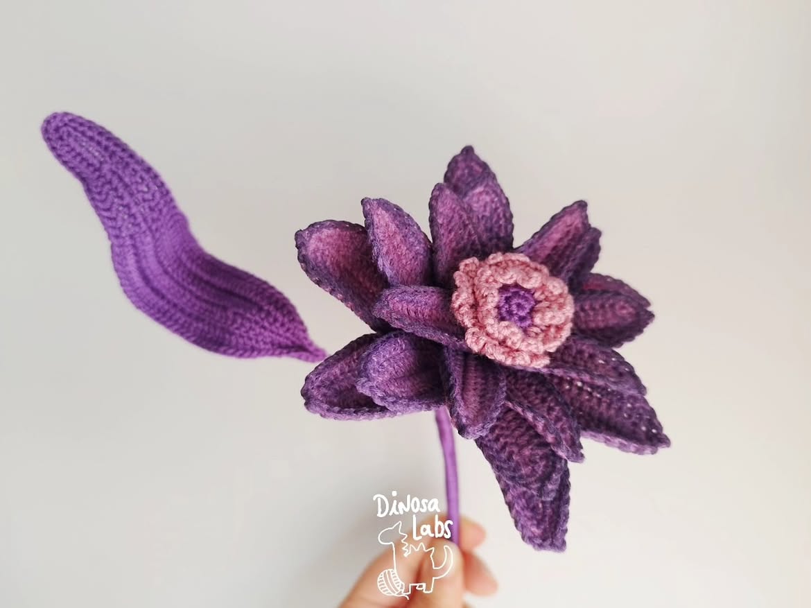 NELUMBO UMBRA - última unidad - Imagen 3