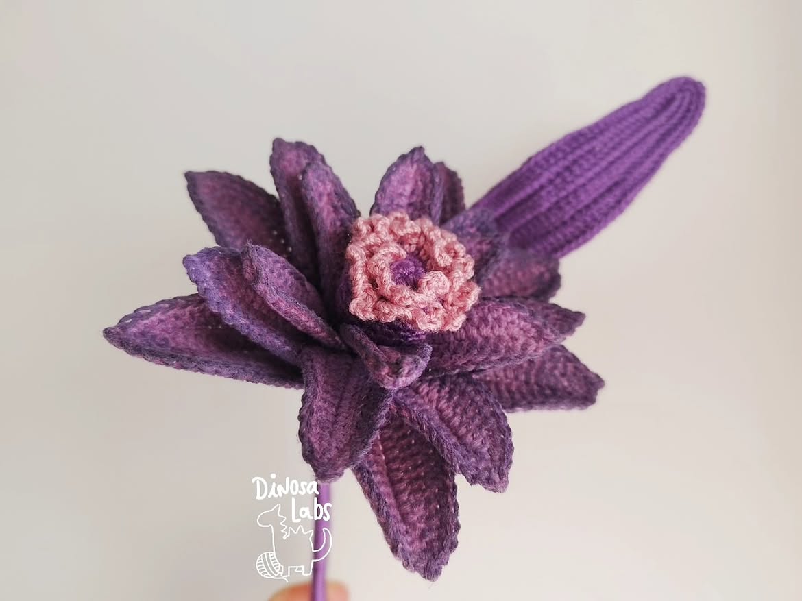 NELUMBO UMBRA - última unidad - Imagen 2
