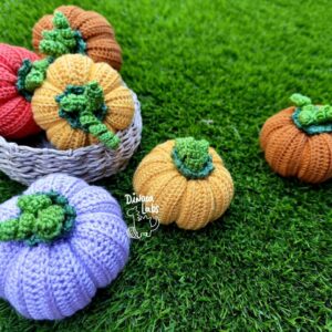 Calabazas lisas 2026