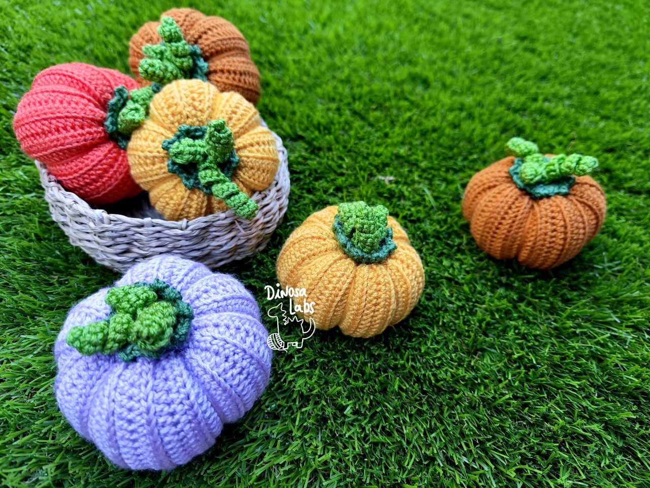 Calabazas lisas 2026