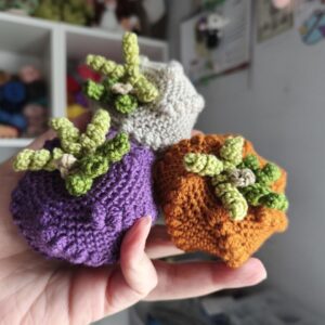 Calabazas Rugosas 2026