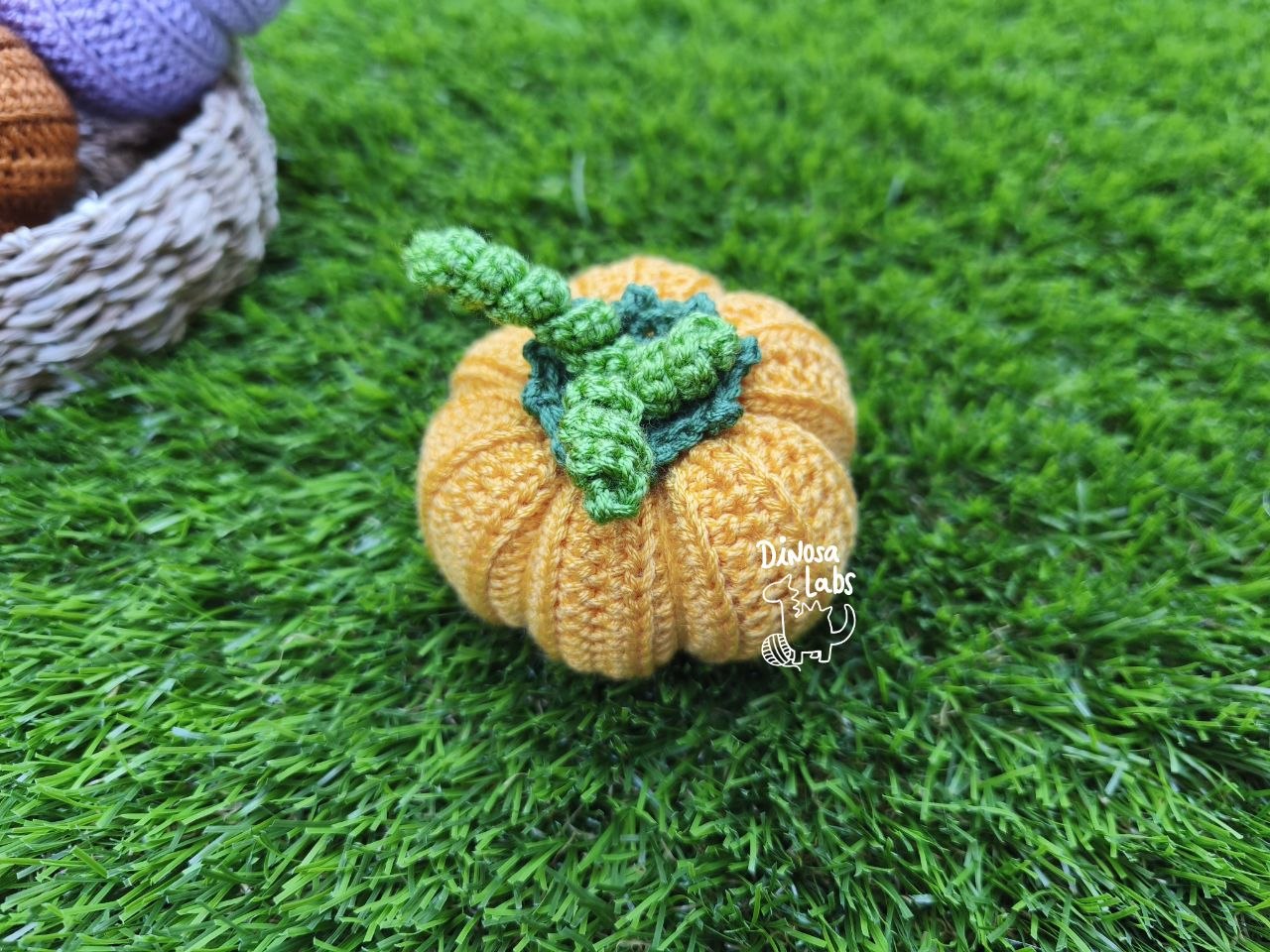 Calabazas lisas 2026 - Imagen 4