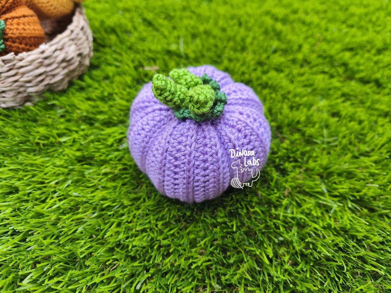 Calabazas lisas 2026 - Imagen 3