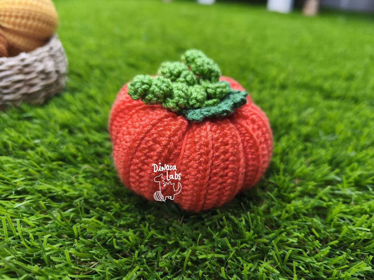 Calabazas lisas 2026 - Imagen 2