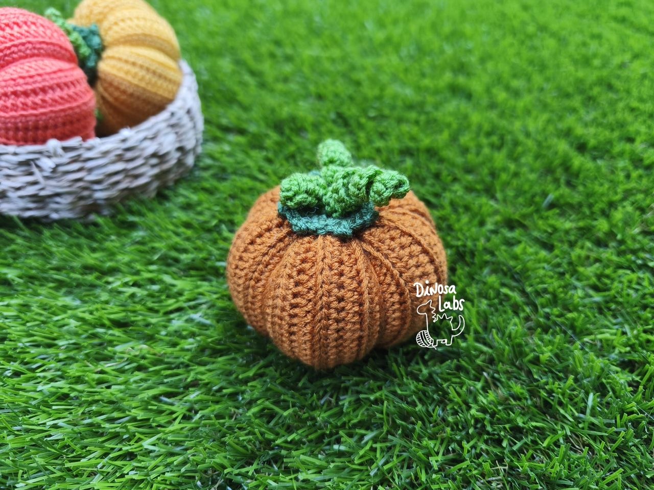 Calabazas lisas 2026 - Imagen 5