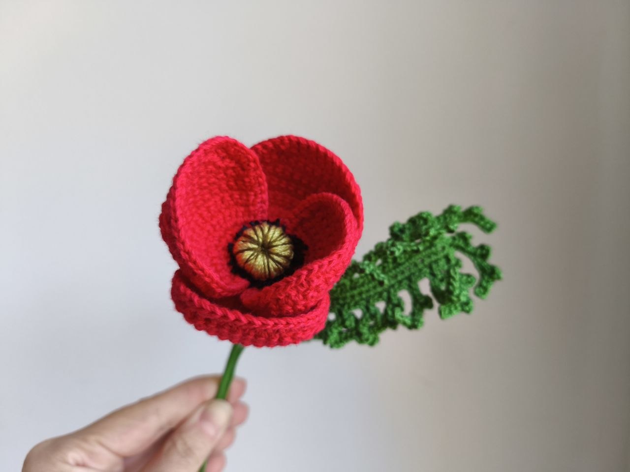 Amapolas - Imagen 2